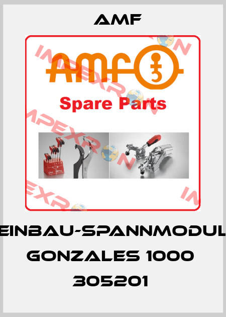 Einbau-Spannmodul Gonzales 1000    305201  Amf