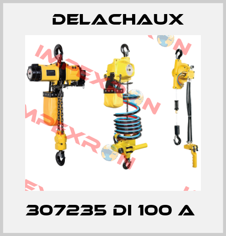 307235 DI 100 A  Delachaux