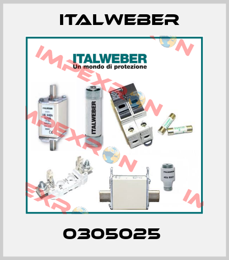 0305025  Italweber