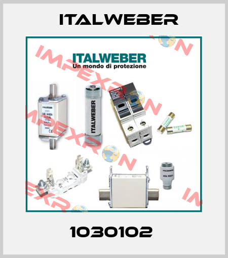 1030102  Italweber