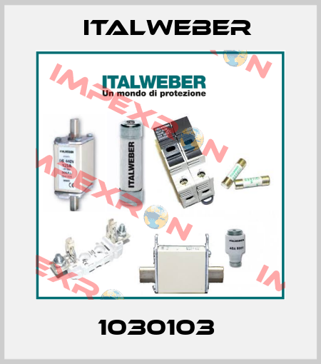 1030103  Italweber