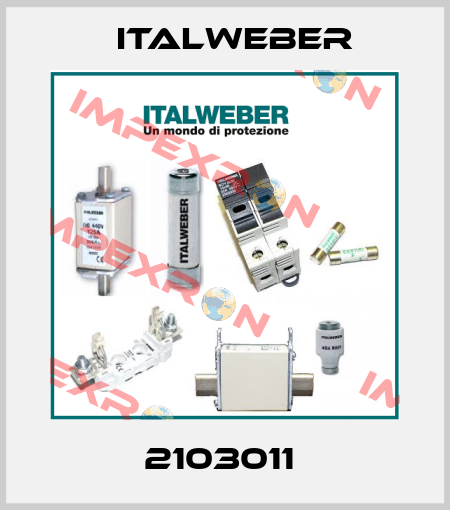 2103011  Italweber