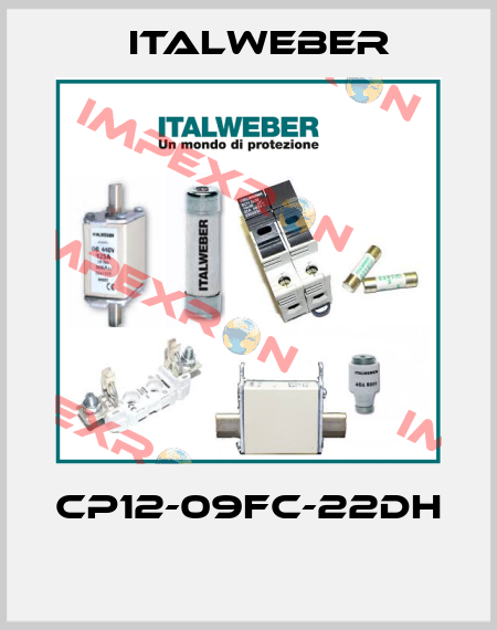 CP12-09FC-22DH  Italweber