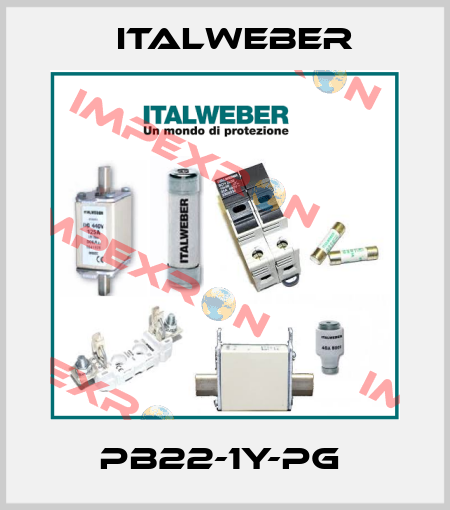 PB22-1Y-PG  Italweber