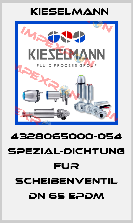 4328065000-054 SPEZIAL-DICHTUNG FUR SCHEIBENVENTIL DN 65 EPDM Kieselmann
