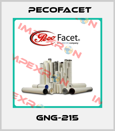 GNG-215 PECOFacet