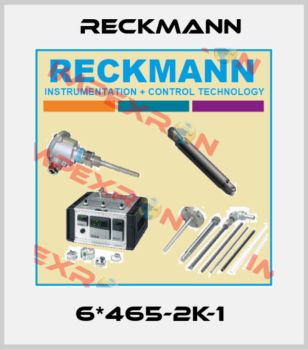 6*465-2K-1  Reckmann