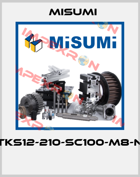 ETKS12-210-SC100-M8-N8  Misumi