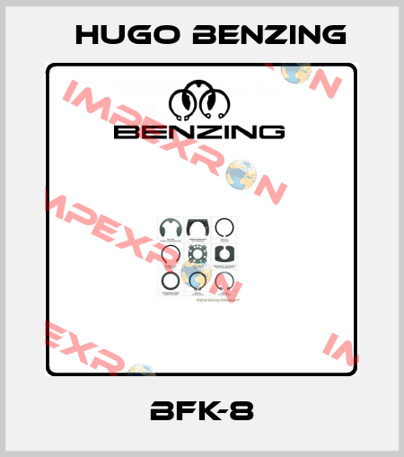 BFK-8 Hugo Benzing