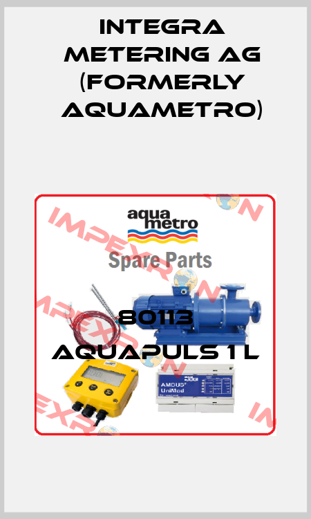 80113 aquapuls 1 l Integra Metering AG (formerly Aquametro)