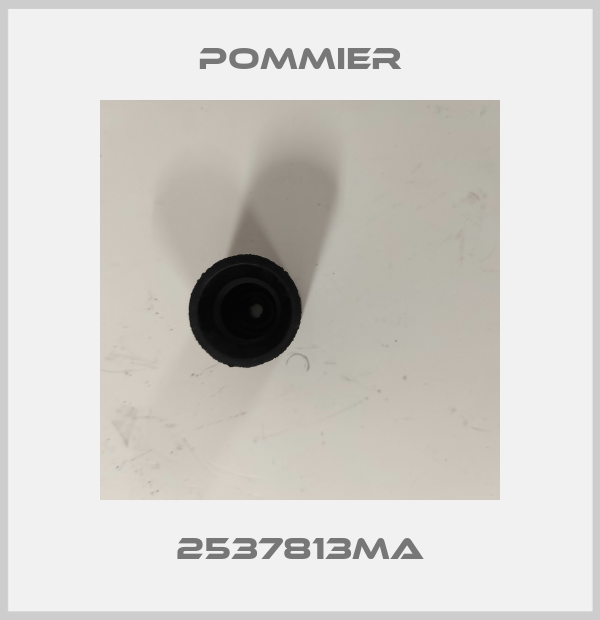 2537813MA Pommier