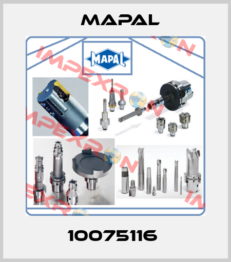 10075116  Mapal