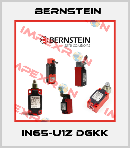 IN65-U1Z DGKK Bernstein