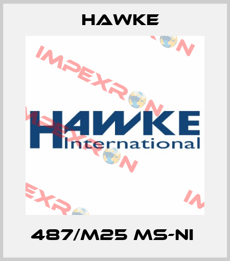 487/M25 Ms-Ni  Hawke