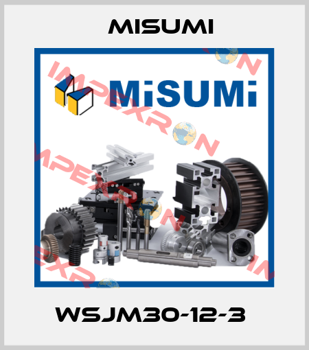 WSJM30-12-3  Misumi