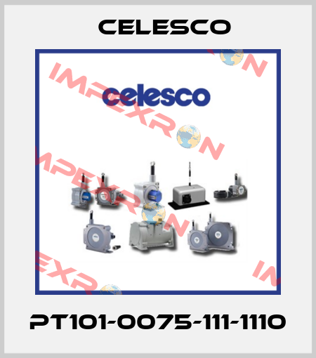 PT101-0075-111-1110 Celesco