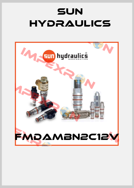 FMDAMBN2C12V  Sun Hydraulics