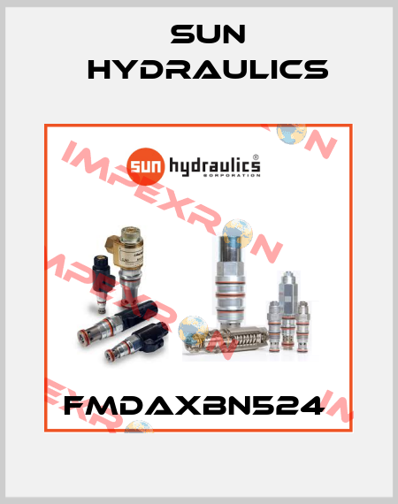 FMDAXBN524  Sun Hydraulics