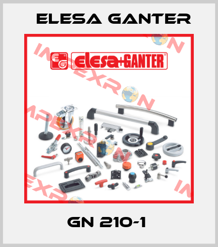 GN 210-1  Elesa Ganter