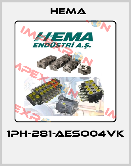 1PH-281-AESO04VK  Hema