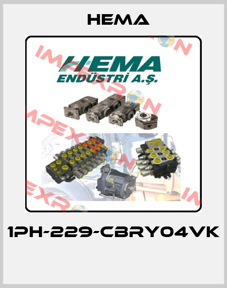 1PH-229-CBRY04VK  Hema