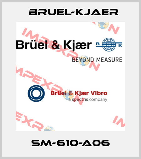 SM-610-A06 Bruel-Kjaer