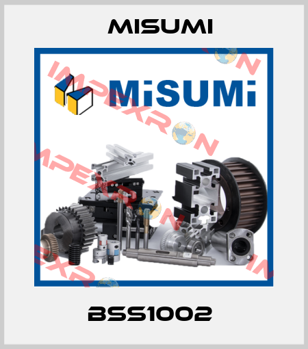 BSS1002  Misumi