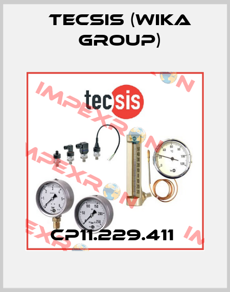 CP11.229.411  Tecsis (WIKA Group)