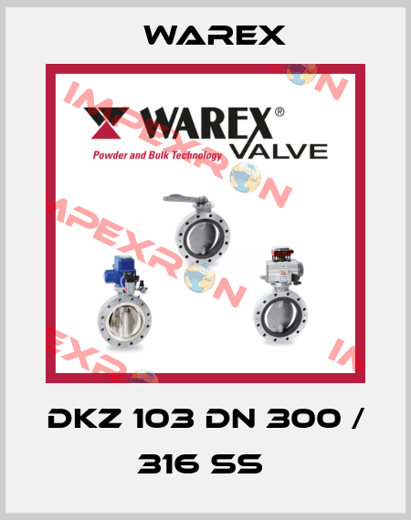 DKZ 103 DN 300 / 316 SS  Warex