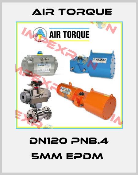 DN120 PN8.4 5MM EPDM  Air Torque