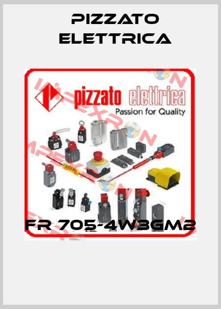 FR 705-4W3GM2  Pizzato Elettrica