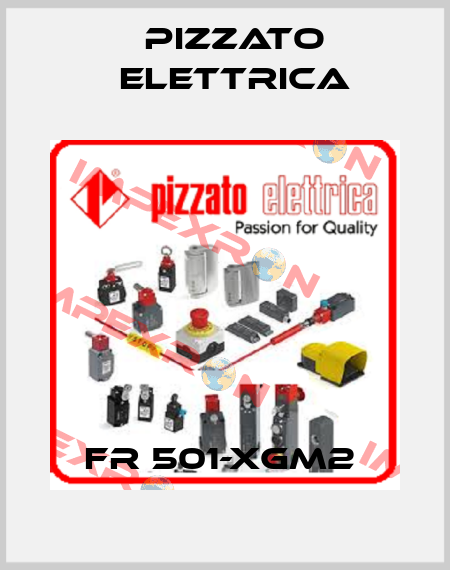 FR 501-XGM2  Pizzato Elettrica
