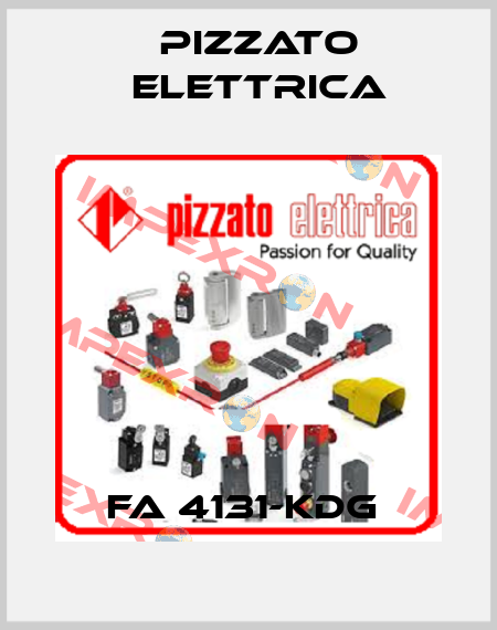 FA 4131-KDG  Pizzato Elettrica