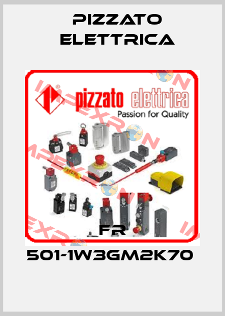 FR 501-1W3GM2K70  Pizzato Elettrica