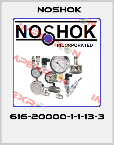 616-20000-1-1-13-3  Noshok