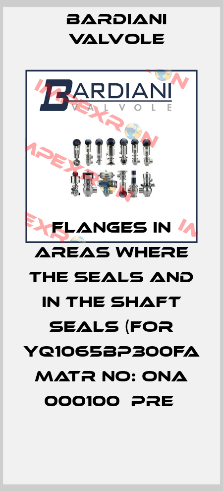 FLANGES IN AREAS WHERE THE SEALS AND IN THE SHAFT SEALS (FOR YQ1065BP300FA  MATR NO: ONA 000100  PRE  Bardiani Valvole