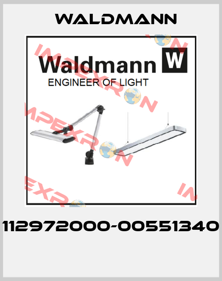 112972000-00551340  Waldmann