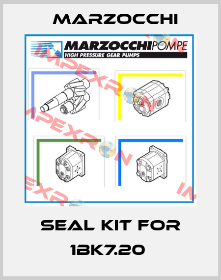 Seal kit for 1BK7.20  Marzocchi