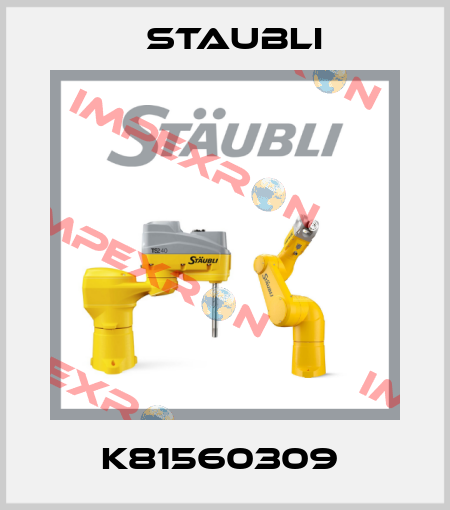 K81560309  Staubli