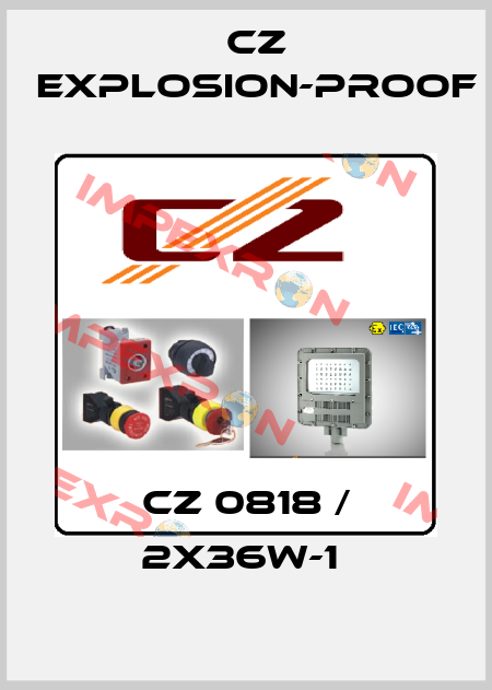 CZ 0818 / 2X36W-1  CZ Explosion-proof