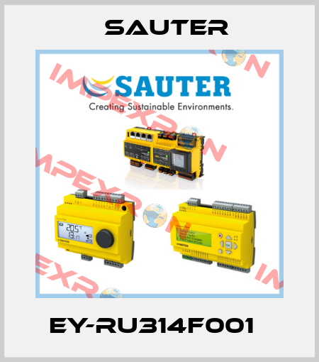 EY-RU314F001   Sauter