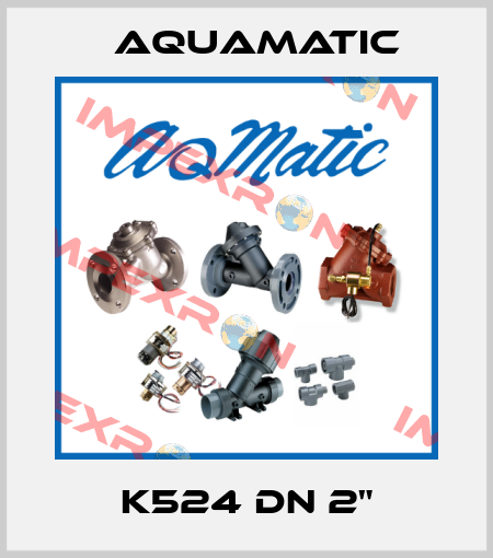 K524 DN 2" AquaMatic