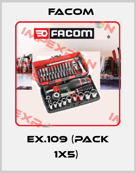 EX.109 (pack 1x5)  Facom