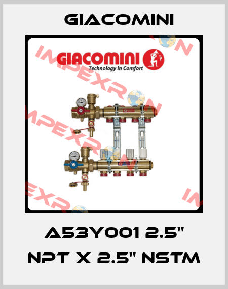 A53Y001 2.5" NPT X 2.5" NSTM Giacomini