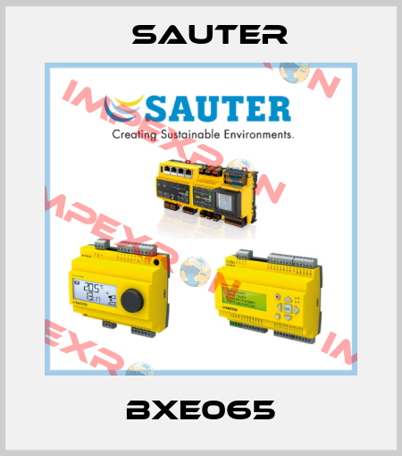 BXE065 Sauter