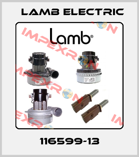 116599-13 Lamb Electric