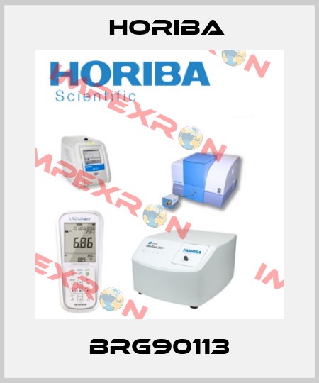BRG90113 Horiba