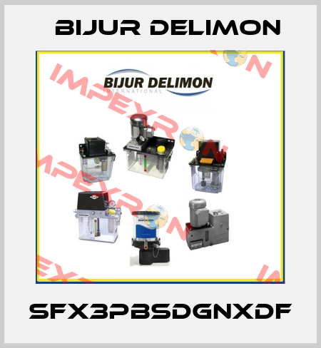 SFX3PBSDGNXDF Bijur Delimon