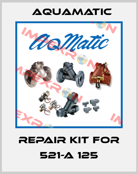 repair kit for 521-A 125 AquaMatic