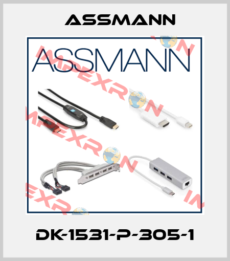 DK-1531-P-305-1 Assmann